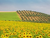 andalucia