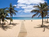 Tenerife, una isla para disfrutar
