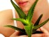 Aloe Vera-blog